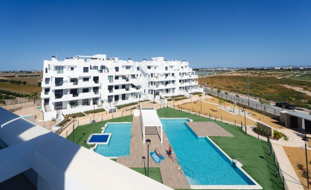 New Build - apartment - Torre-Pacheco