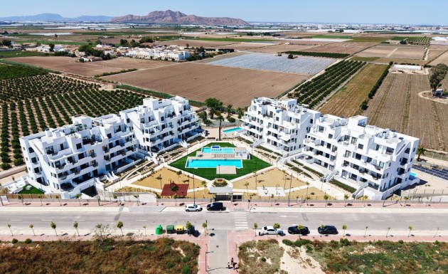 New Build - apartment - Torre-Pacheco