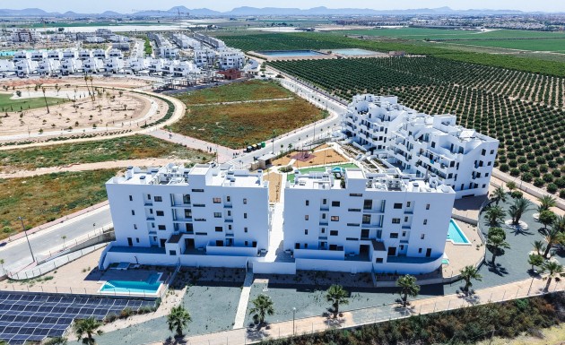 New Build - apartment - Torre-Pacheco