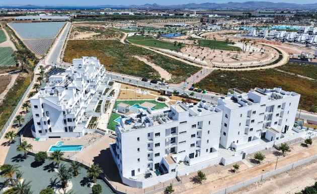 New Build - apartment - Torre-Pacheco