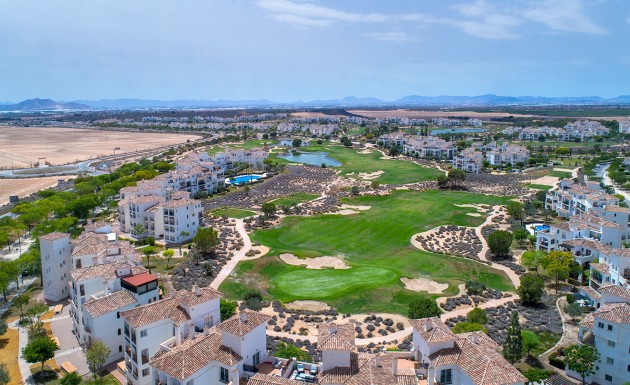 Obra nueva - terraced - Sucina