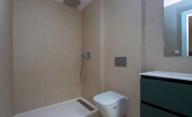 Nouvelle construction - terraced - Monforte del Cid