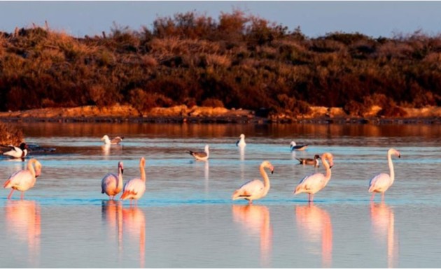 New Build - detached - San Pedro del Pinatar