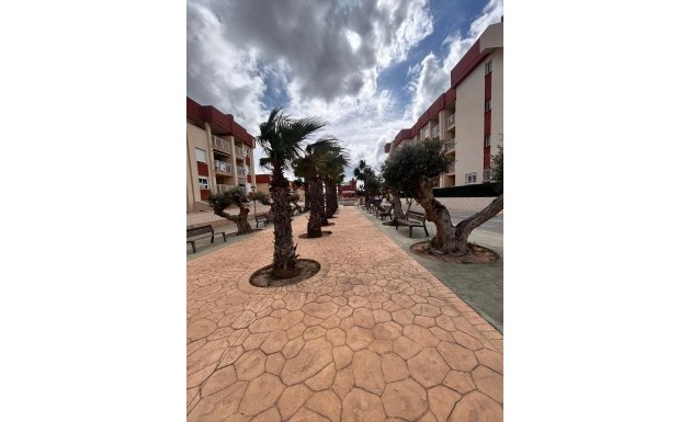 Nowy budynek - ground-floor - Orihuela