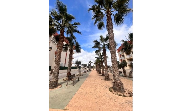 Новое здание - apartment - Orihuela