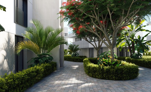 Nowy budynek - apartment - Torre-Pacheco