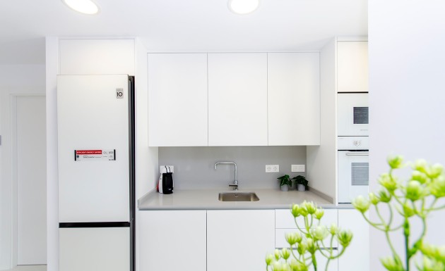 Obra nueva - detached - Orihuela