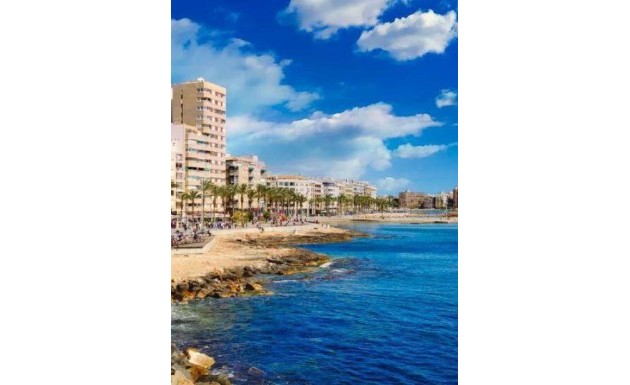 Nowy budynek - apartment - Torrevieja