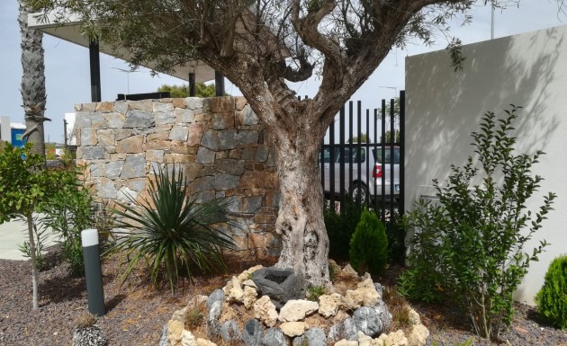 Nouvelle construction - low-bungalow - Torrevieja