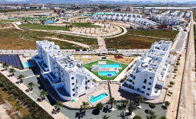 Новое здание - ground-floor - Torre-Pacheco