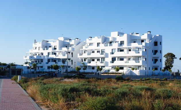 Новое здание - ground-floor - Torre-Pacheco