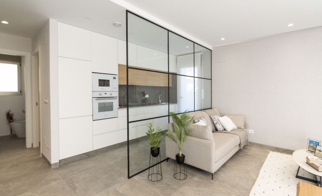 Nouvelle construction - detached - Pilar de la Horadada