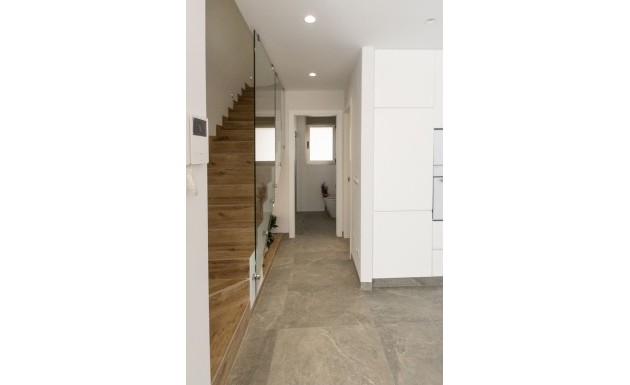 Nouvelle construction - detached - Pilar de la Horadada