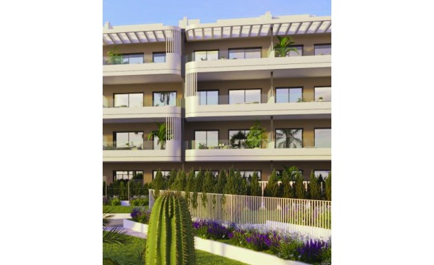 Obra nueva - apartment - Torrevieja