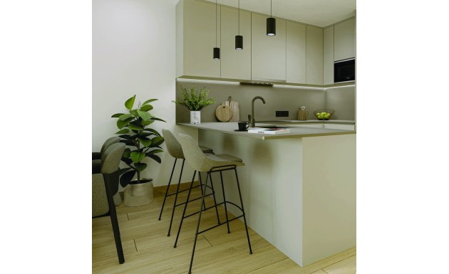 Obra nueva - apartment - Torrevieja