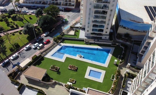 Resale - apartment - Torrevieja