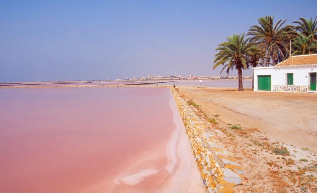 Nybygg - high-bungalow - San Pedro del Pinatar
