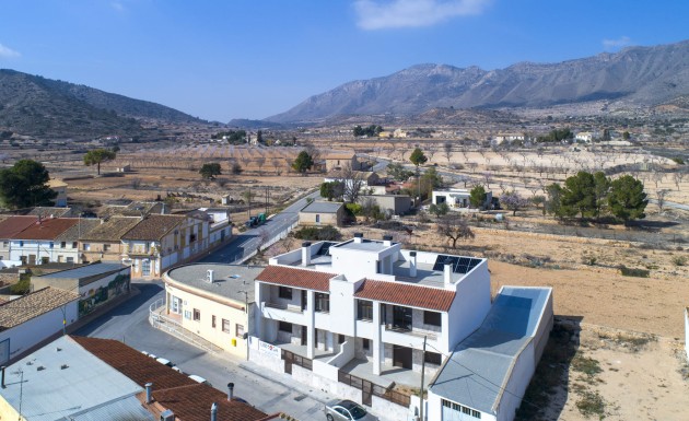 Obra nueva - low-bungalow - La Canalosa